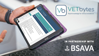 Person holding a tablet with the VETbytes website on it